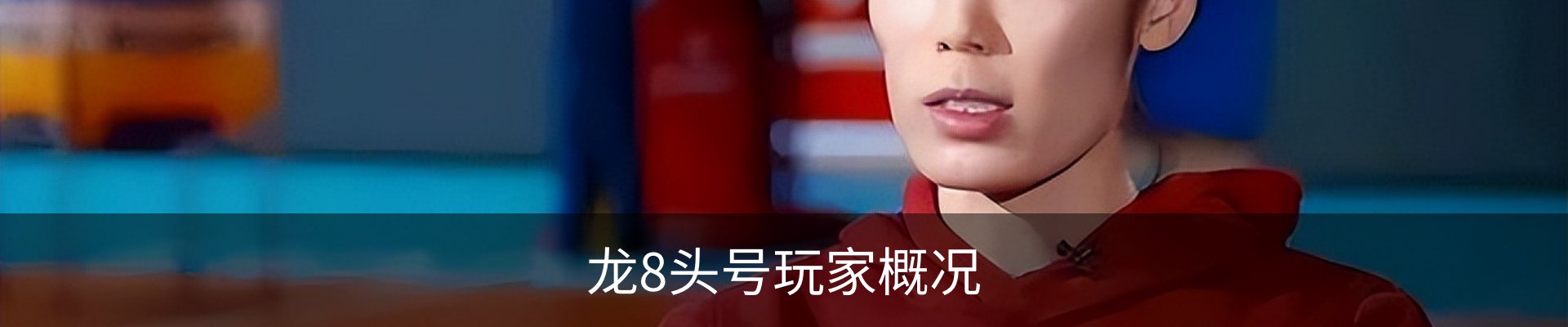 龙8头号玩家概况